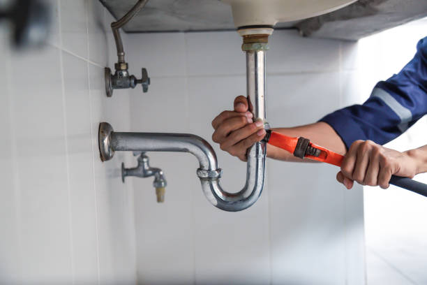 Best Commercial Plumbing Services  in Cross Plains, TN