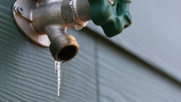 Best Septic Systems  in Cross Plains, TN